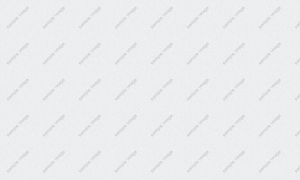 sample-image